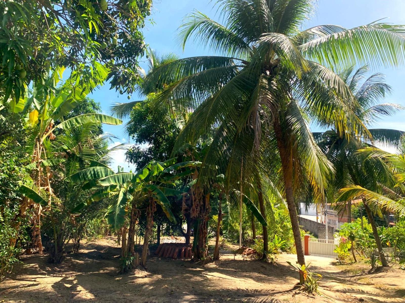 Jacarecica Haus Maceió Exterior foto